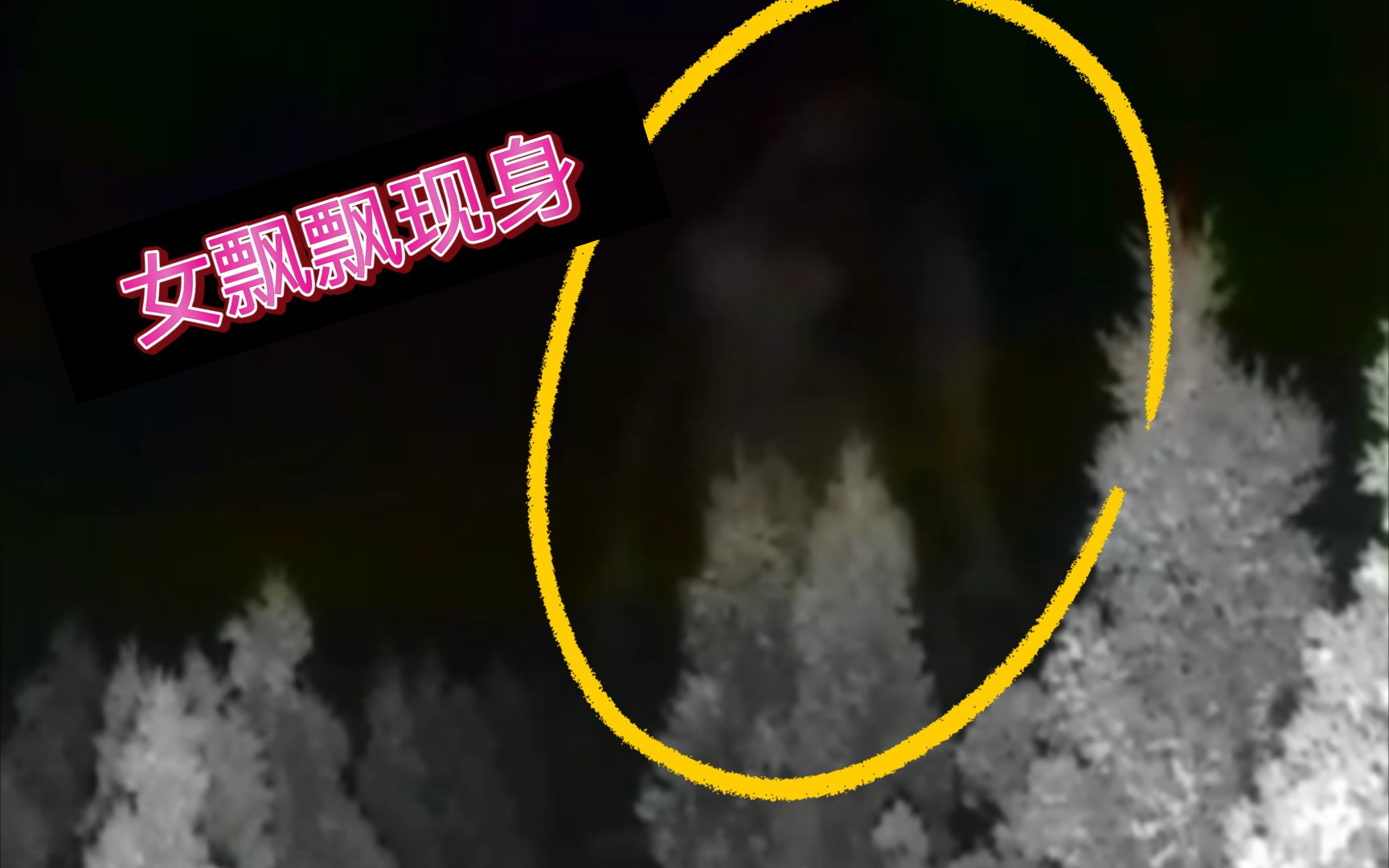 安陌户外探险主播小涛真实探险在万人墓地遇见真正女飘飘