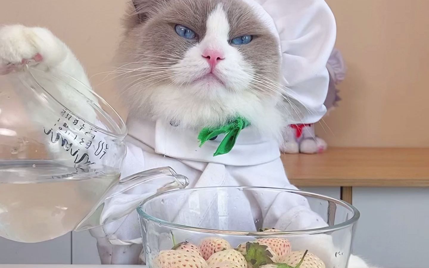 【喵大厨puff】国粹糖葫芦合集第二弹