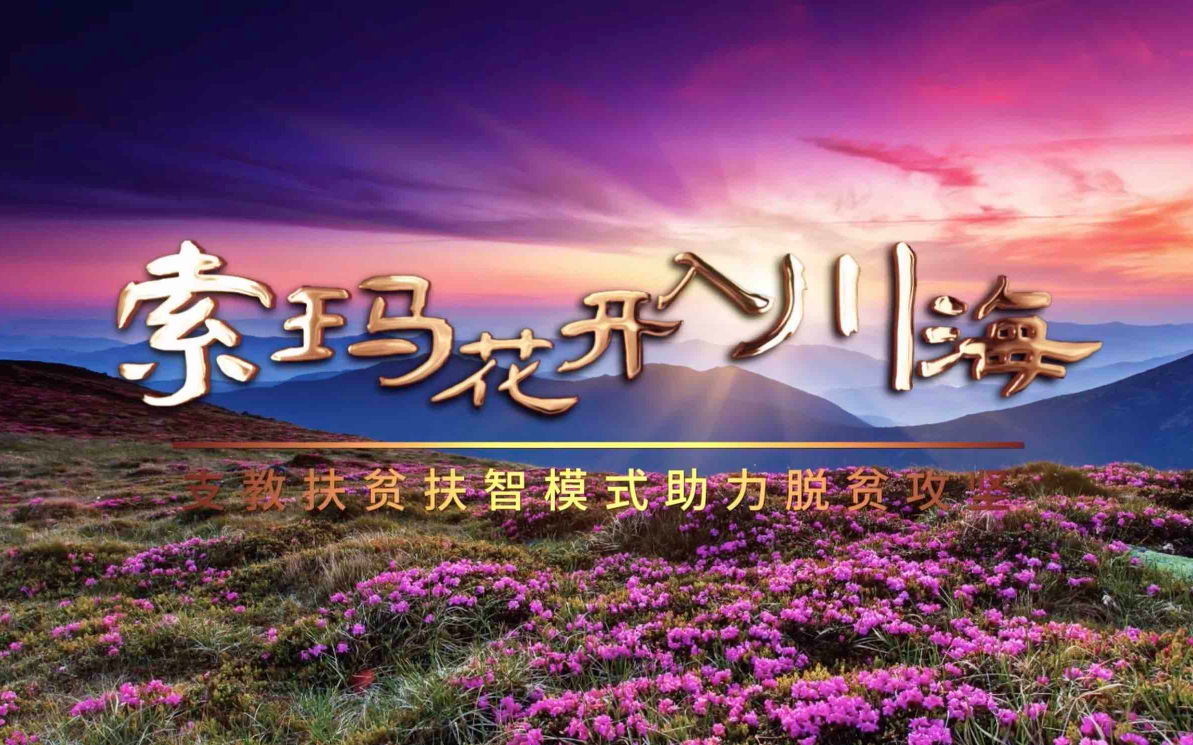 [图]乡村振兴田野调查微纪录片《索玛花开入川海》