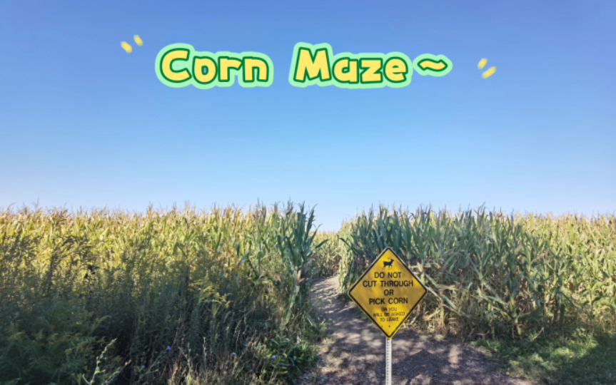 Illinois Corn Maze!美国伊利诺伊州玉米地迷宫探险~哔哩哔哩bilibili