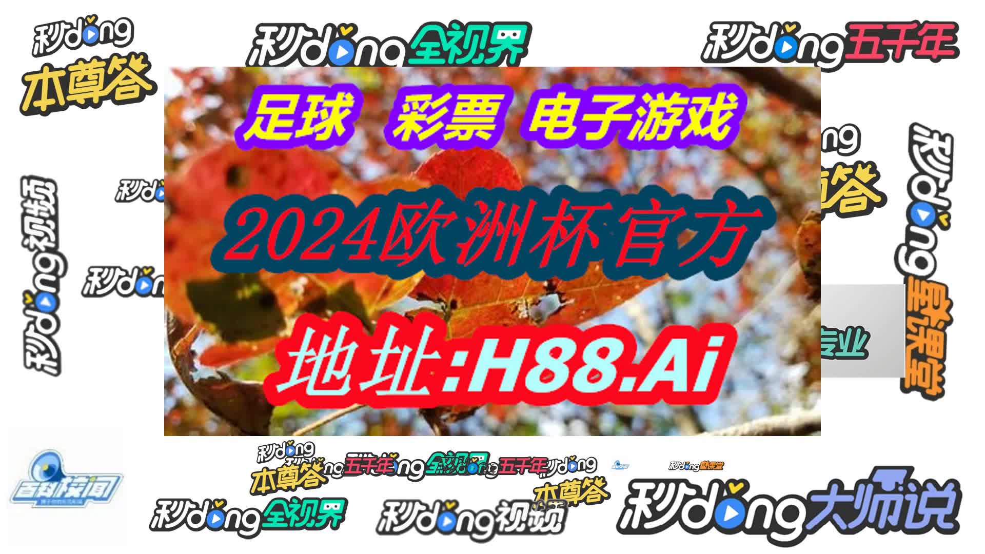 彩库宝典正版的怎么没了(哔哩哔哩)024期