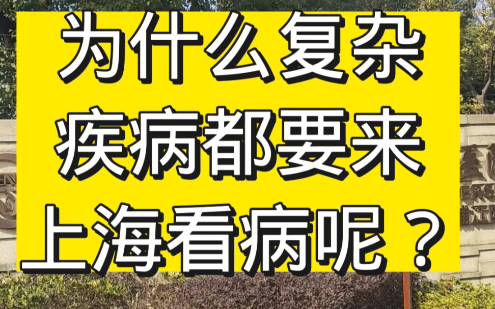 为什么复杂疾病都要来上海看病呢?上海陪诊师告诉您哔哩哔哩bilibili