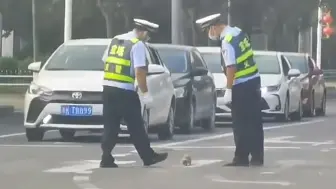 Скачать видео: 小刺猬“阻碍”交通拦住汽车 交警叔叔见状帮其过马路