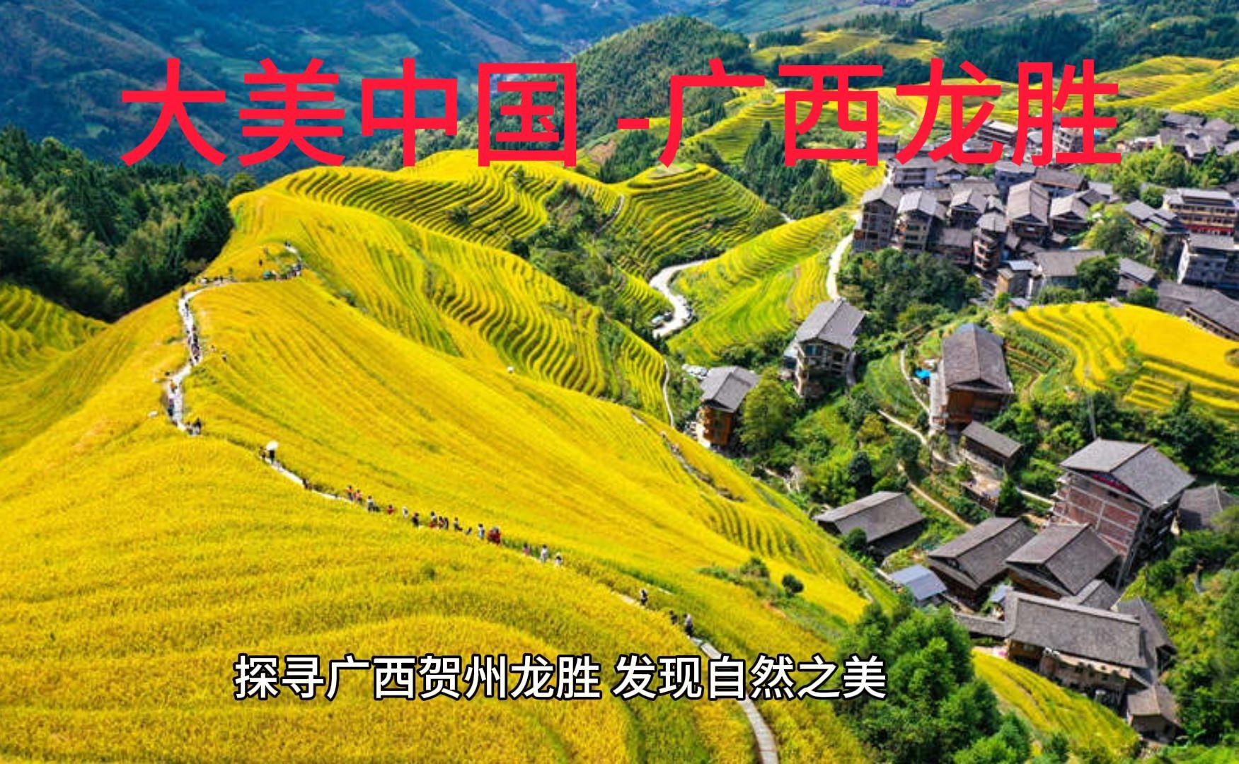 【大美中国】广西龙胜 梯田绝佳旅游胜地