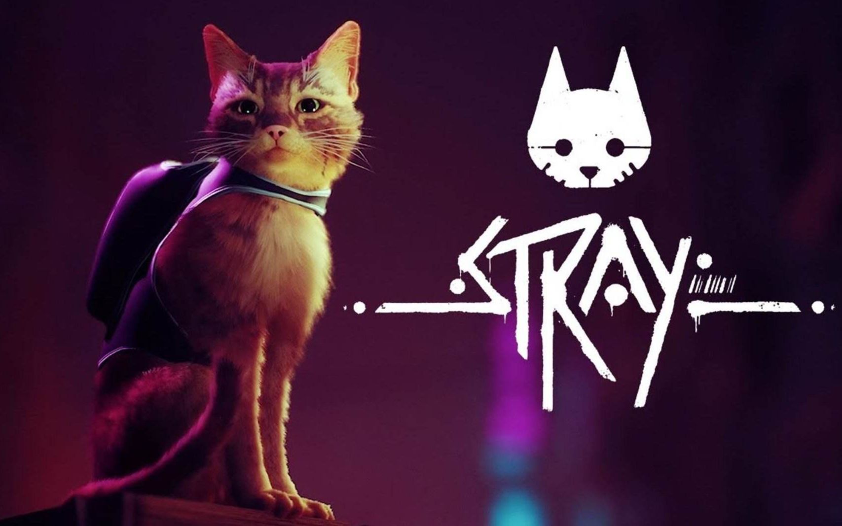 【STRAY】【4K】流浪猫模拟器 第一期哔哩哔哩bilibili游戏实况