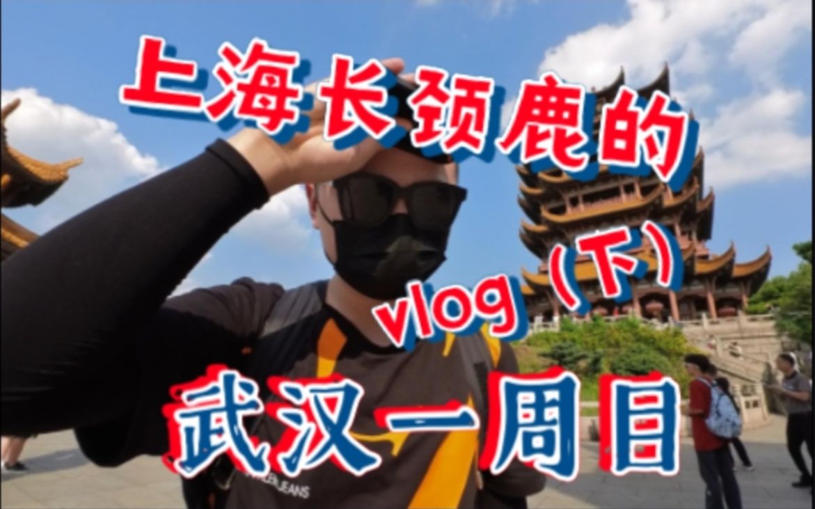 上海长颈鹿的Vlog004:武汉一周目(下)哔哩哔哩bilibili