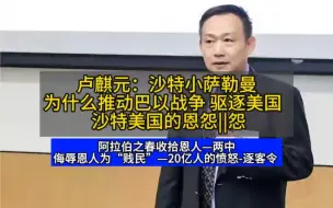 卢麒元：沙特小萨勒曼为什么推动巴以战争 驱逐美国