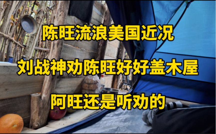 陈旺流浪美国日记(二十四)旺哥近况,刘战神劝陈旺好好盖木屋,阿旺还是挺劝的!哔哩哔哩bilibili