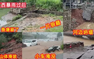 Download Video: 暴雨过后一片狼藉，看到这场景养殖种植户都哭了，可怕的自然灾害