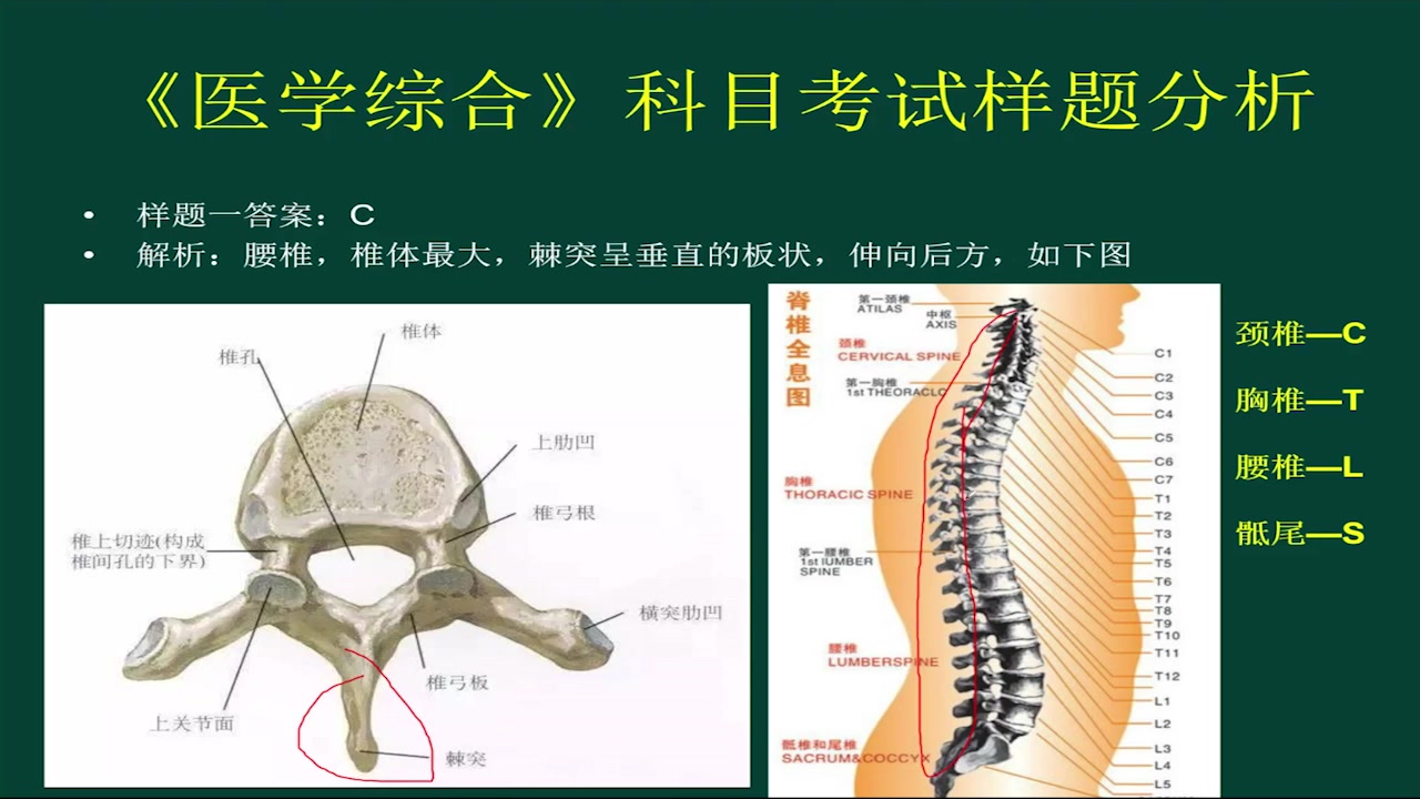 (专升本)医学综合考情分析 三哔哩哔哩bilibili