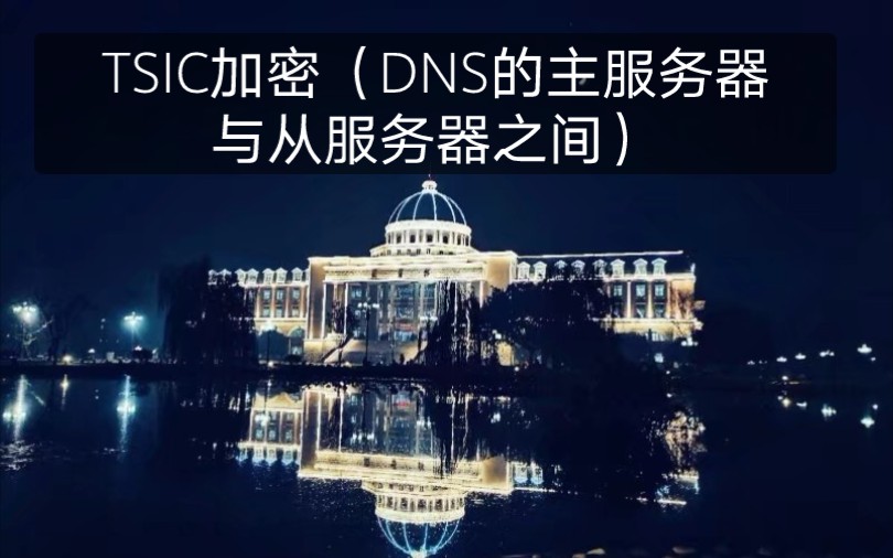 31.TSIC加密(DNS的主服务器与从服务器之间)哔哩哔哩bilibili