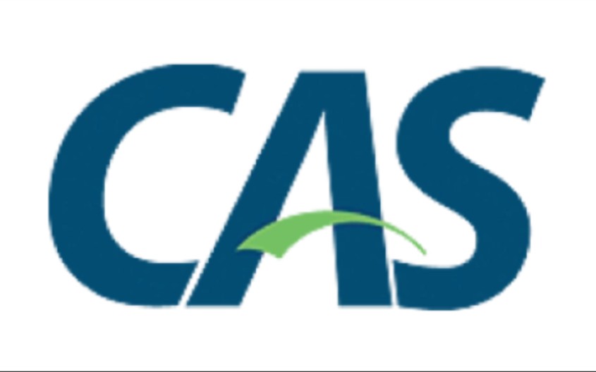 springboot cas整合服务端和客户端实现sso单点登录与登出快速入门上