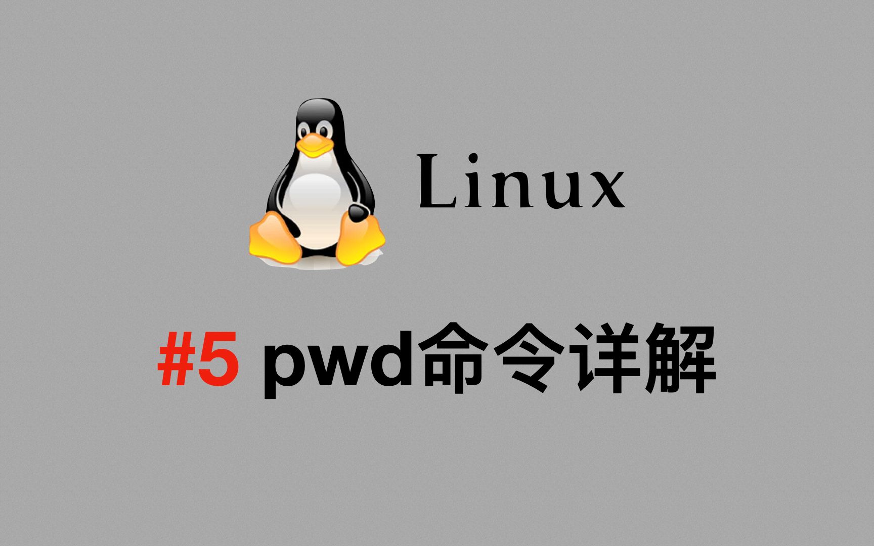 【Linux视频教程】#5 pwd命令详解哔哩哔哩bilibili