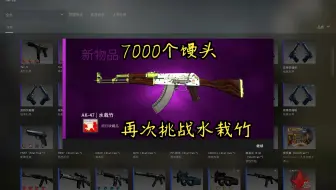 7k个馒头挑战水栽竹