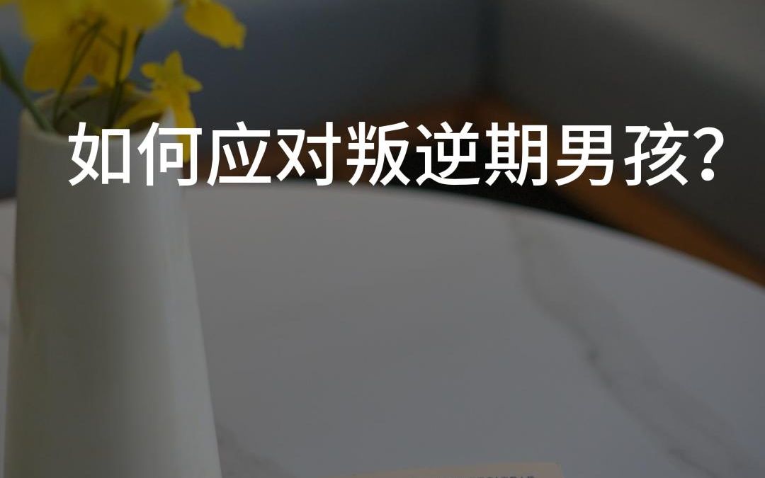 如何应对叛逆期男孩?哔哩哔哩bilibili