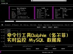 Video herunterladen: 命令行工具Dolphie（多尔菲）- 实时监控 MySQL 数据库运行情况