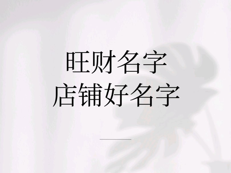 旺财店铺好名字哔哩哔哩bilibili