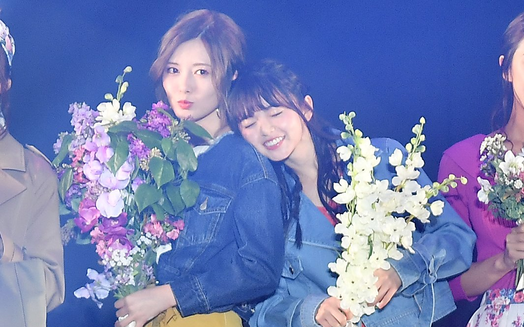 【乃木坂46】【恋爱向】白石麻衣x斋藤飞鸟