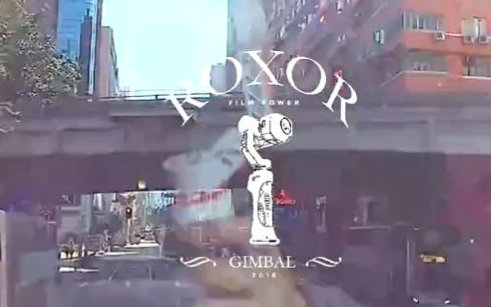 【ROXOR睿派】用户香港旅行全记录哔哩哔哩bilibili