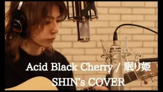 Acid Black Cherry 1 3天真的感情 特效字幕 哔哩哔哩 Bilibili