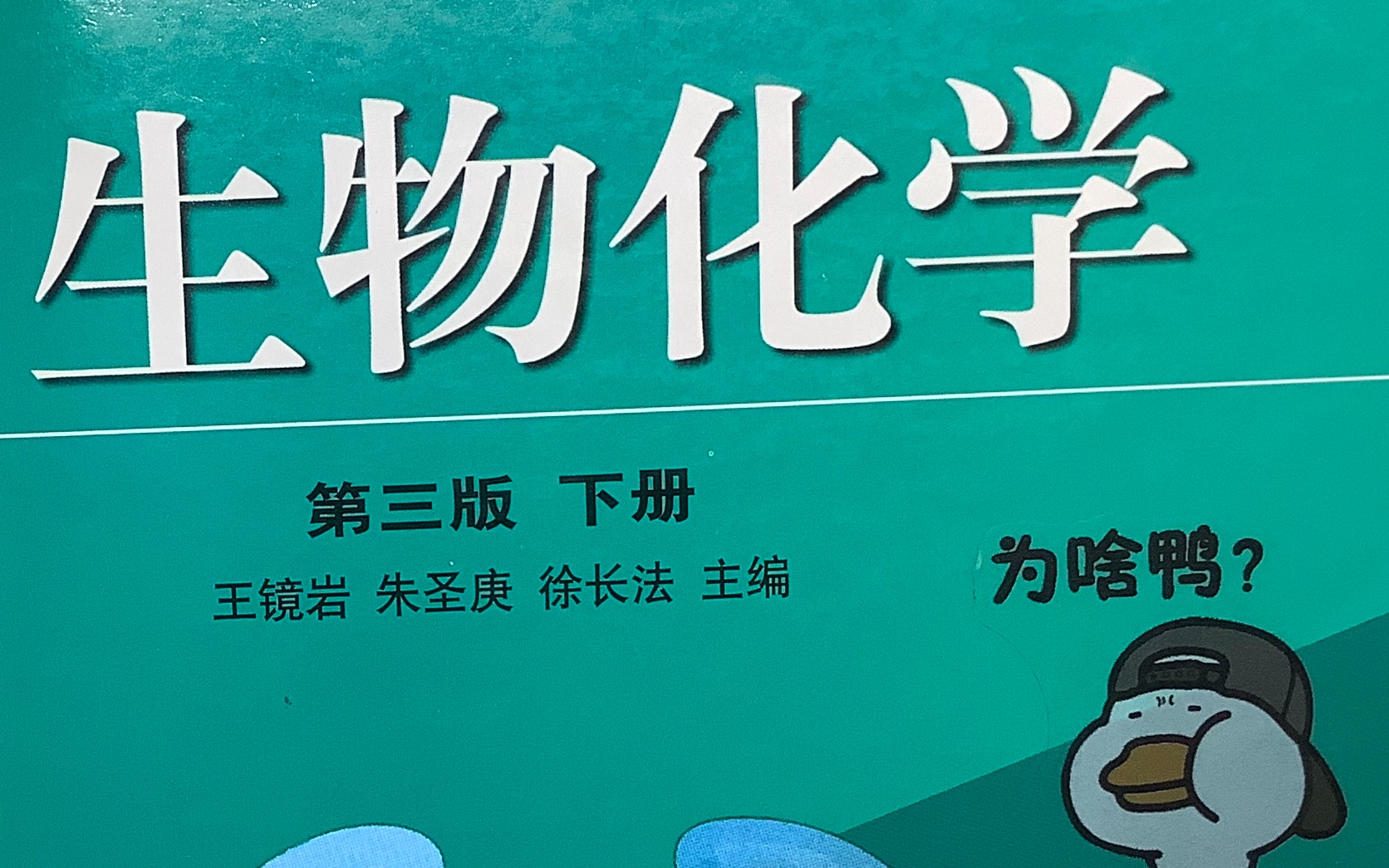 蛋白质的分离纯化方法总结(下) 生物化学考研 期末考试哔哩哔哩bilibili