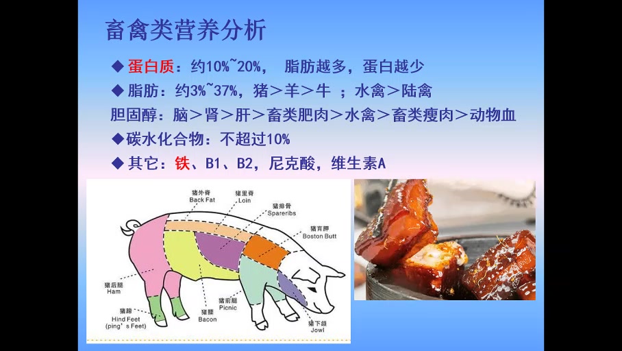 《食品营养学》第6章 畜禽肉类营养价值哔哩哔哩bilibili