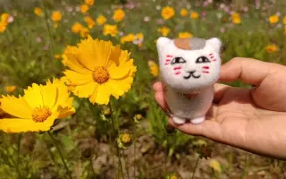 五年友人咪 搜索结果 哔哩哔哩 Bilibili