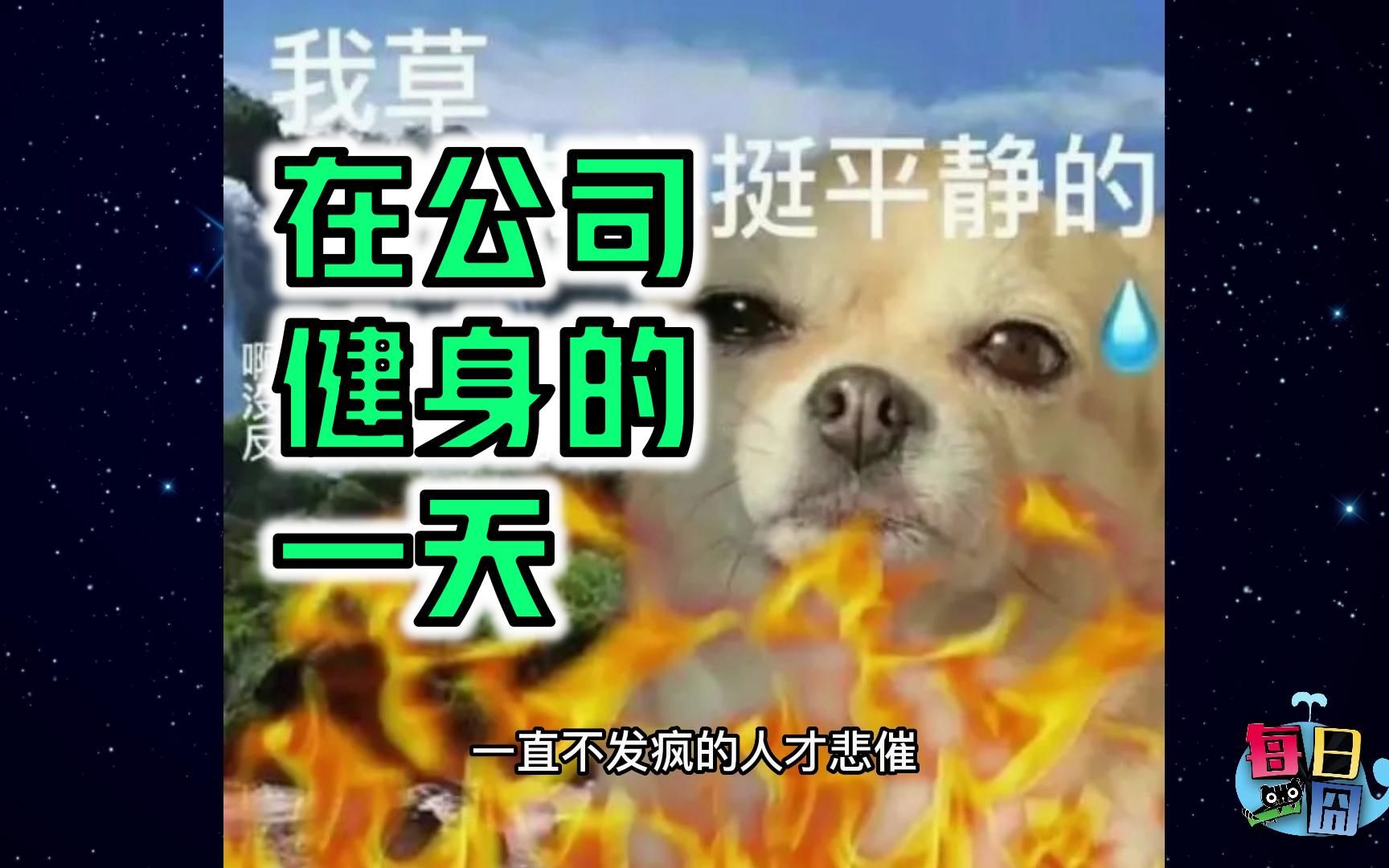 【每日一囧】在公司健身的一天…运动达人就是我 |猫猫村长哔哩哔哩bilibili