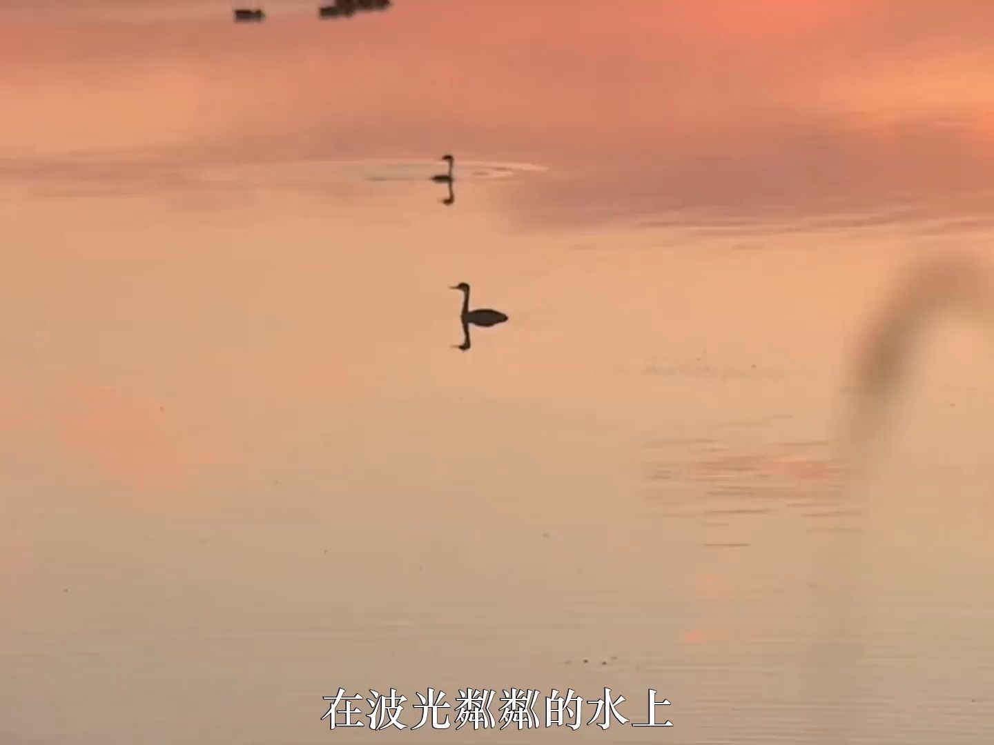 舒伯特艺术歌曲《水上吟》,斯瓦茨科普夫演唱