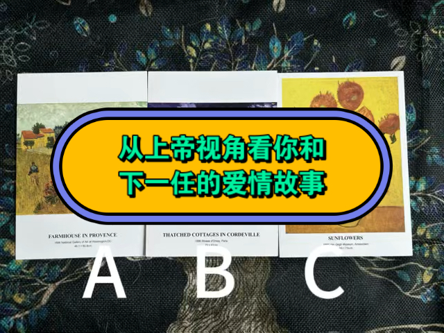 (Cris占卜疗愈室)从上帝视角看你和下一任的爱情故事哔哩哔哩bilibili