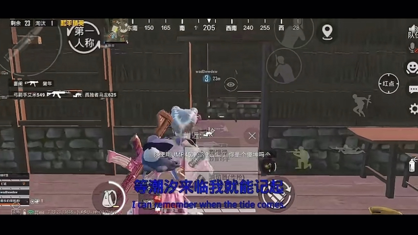 和平精英击杀秀,吃鸡日常!