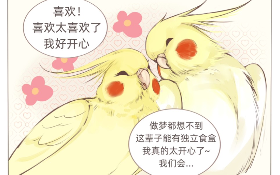 玄凤鹦鹉治愈小漫画 新伙伴出现啦