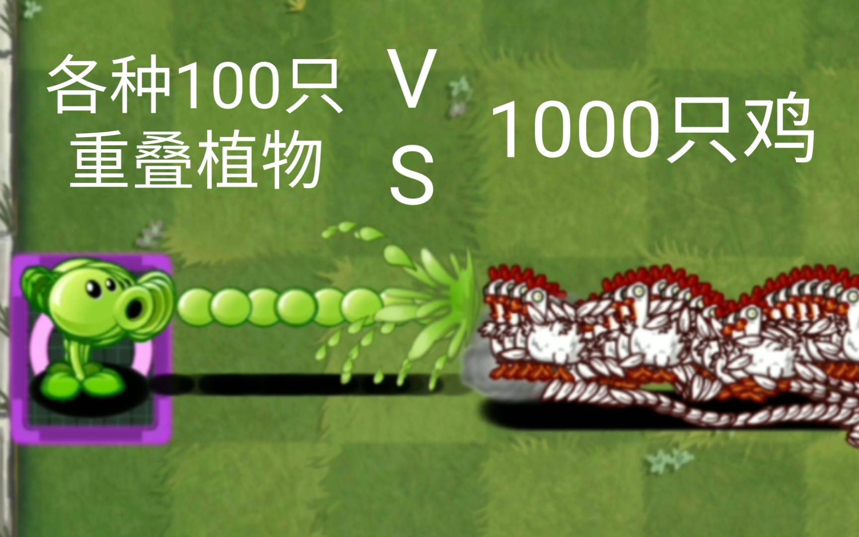 [图]各种100只重叠植物 VS 1000只鸡【Pvz2】