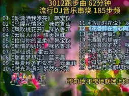 Download Video: 3012 185步频 62分钟 流行歌曲混合节奏声 跑步专用曲