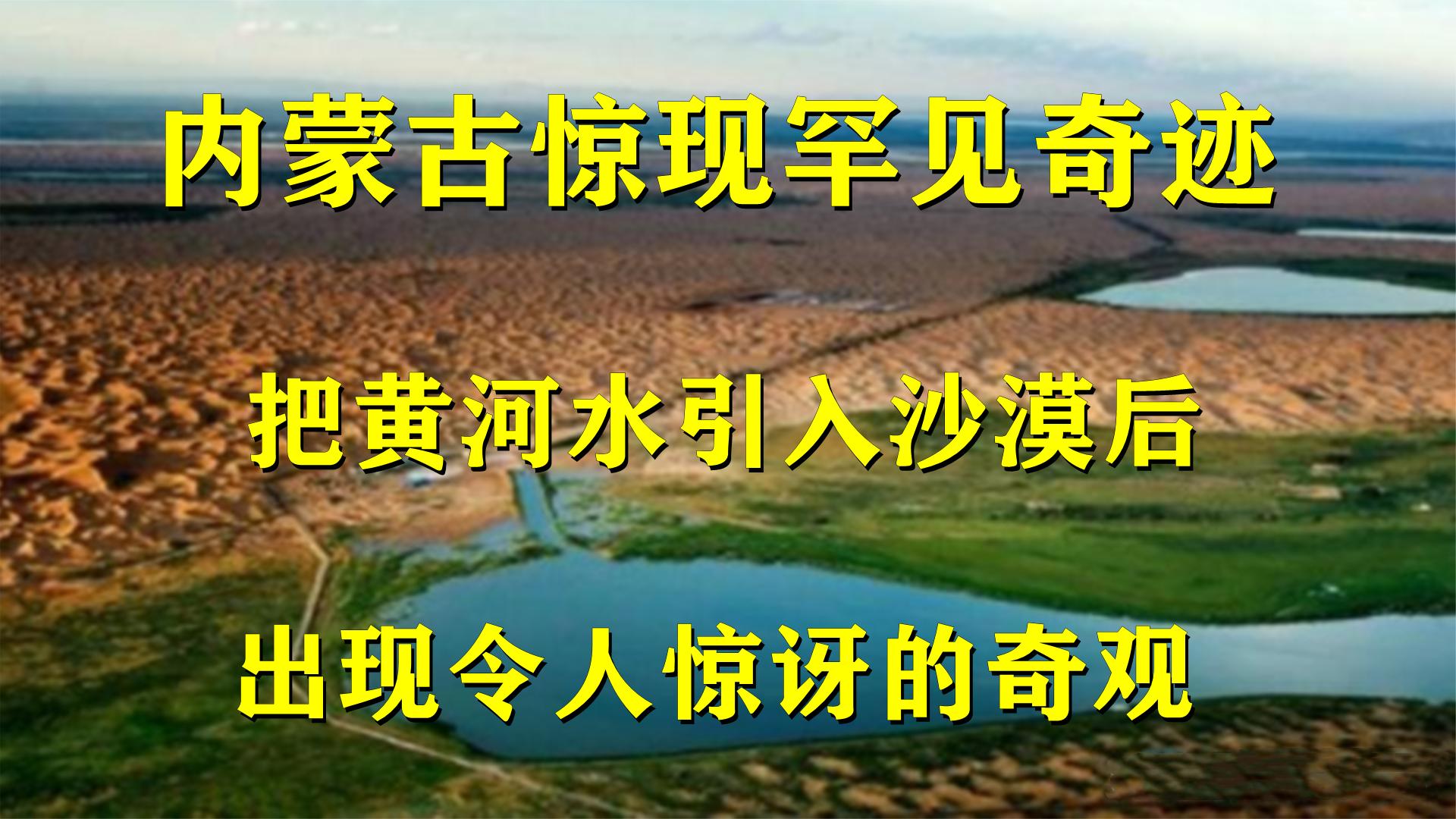 [图]内蒙古惊现罕见奇迹，把黄河水引入沙漠后，令人惊讶的一幕发生了