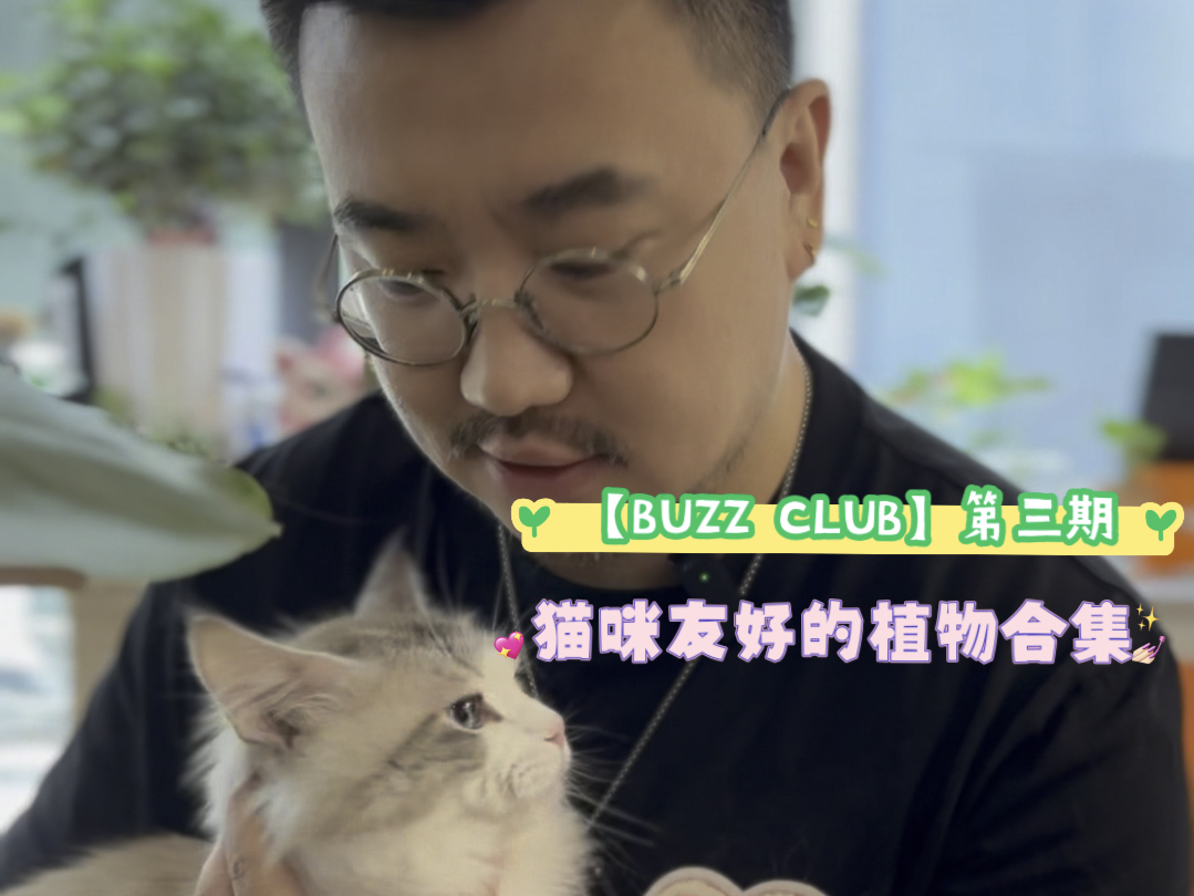 【buzz club】第三期-《猫咪友好的植物合集》线下分享会,各位铲屎官