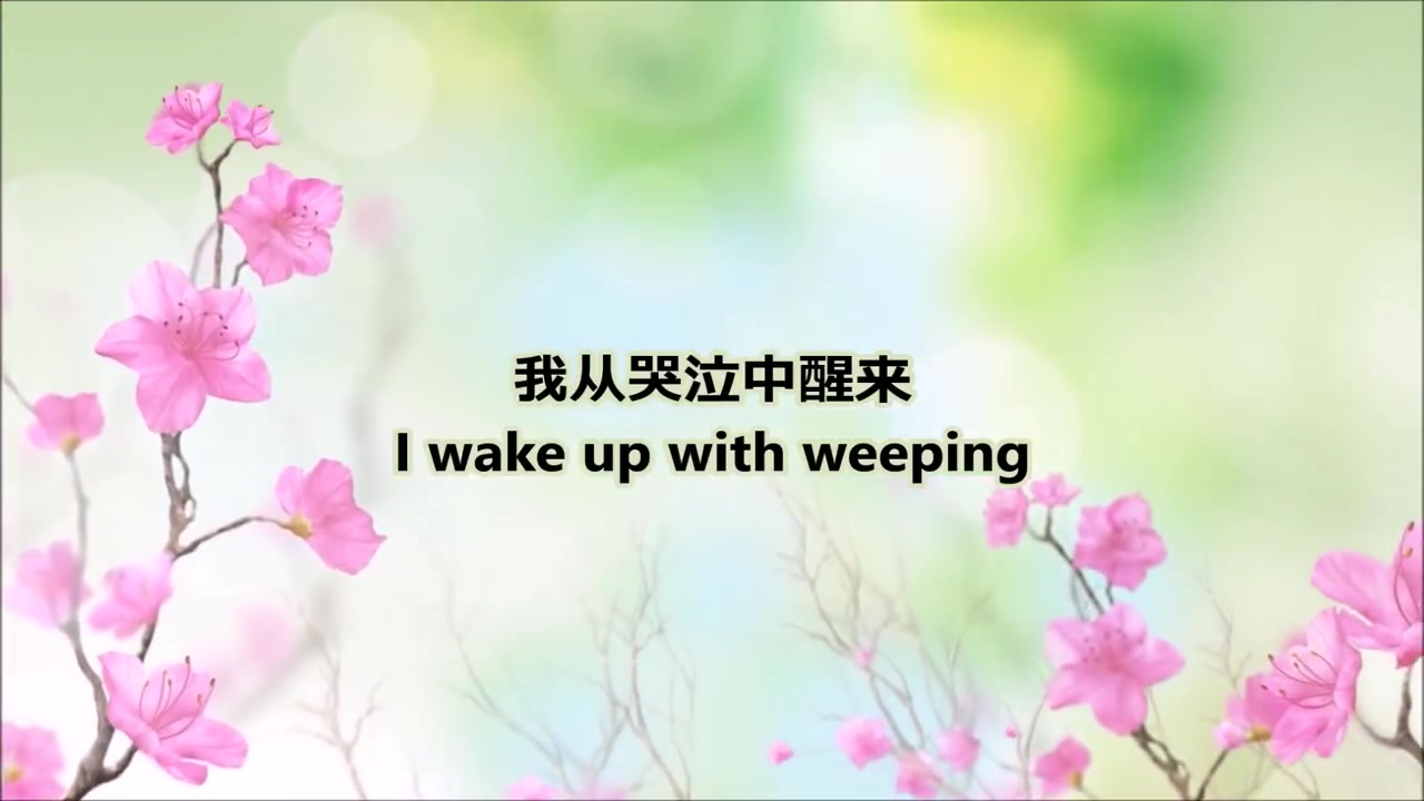 [图]一生有你 - Yi Sheng You Ni ( With you forever )