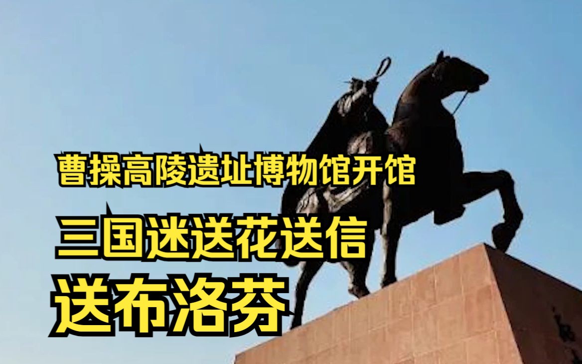 曹操高陵遗址博物馆开馆,三国迷送花送信送布洛芬哔哩哔哩bilibili