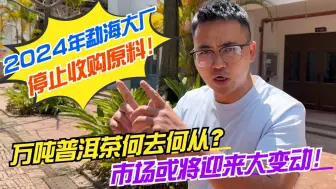 Download Video: 勐海大厂停止收购原料！万吨普洱茶何去何从？市场或将迎来大变动