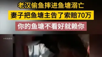 Download Video: 老汉偷鱼摔进鱼塘溺亡，妻子把鱼塘告了索赔70万。你的鱼塘不看好就怨你。全集