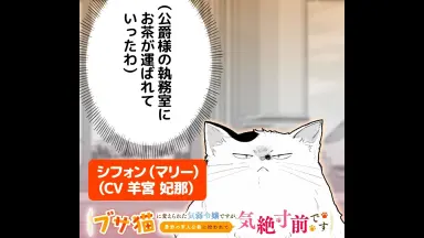 石井隆//-哔哩哔哩_Bilibili