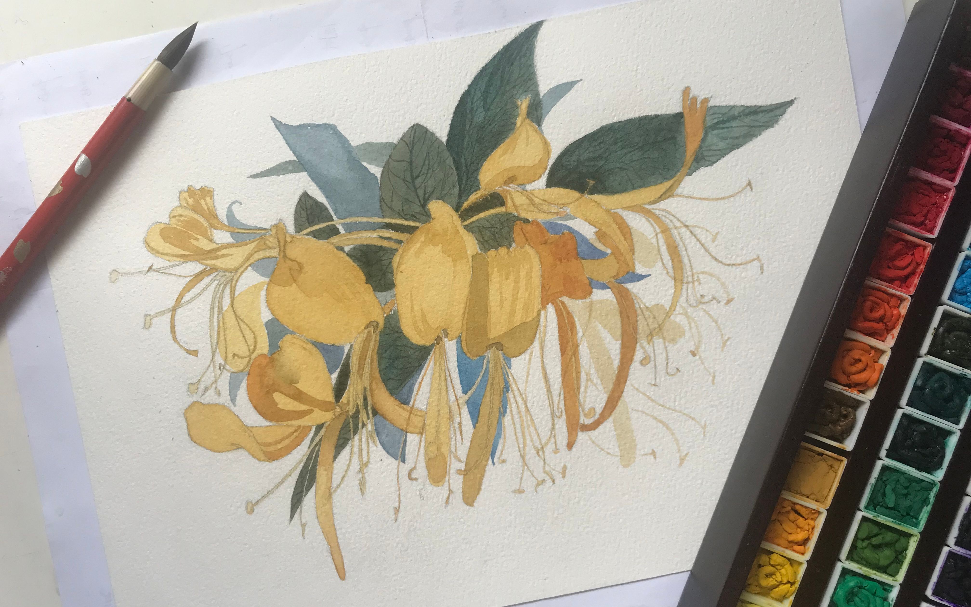 【水彩过程】金银花_哔哩哔哩 (゜-゜)つロ 干杯~-bilibili