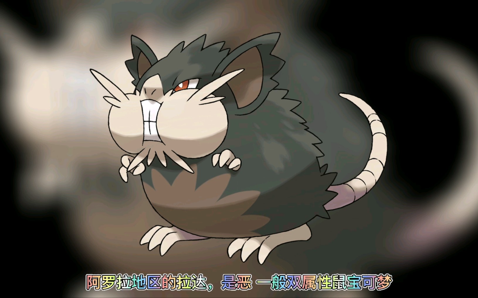 宝可梦图鉴020 拉达_哔哩哔哩_bilibili