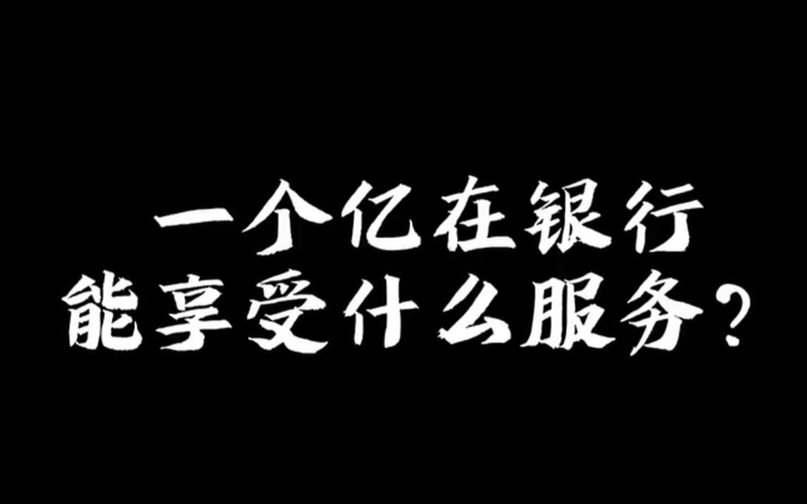 在银行里存一亿,能享受什么服务?哔哩哔哩bilibili