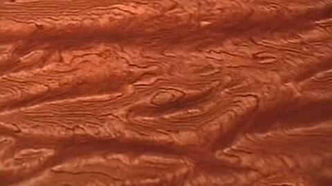 创意花梨木茶几原木环保避坑家具非全屋定制英语听力训练 哔哩哔哩 Bilibili