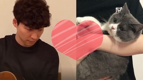 合集 被玩坏的星野源桑 哔哩哔哩 つロ干杯 Bilibili