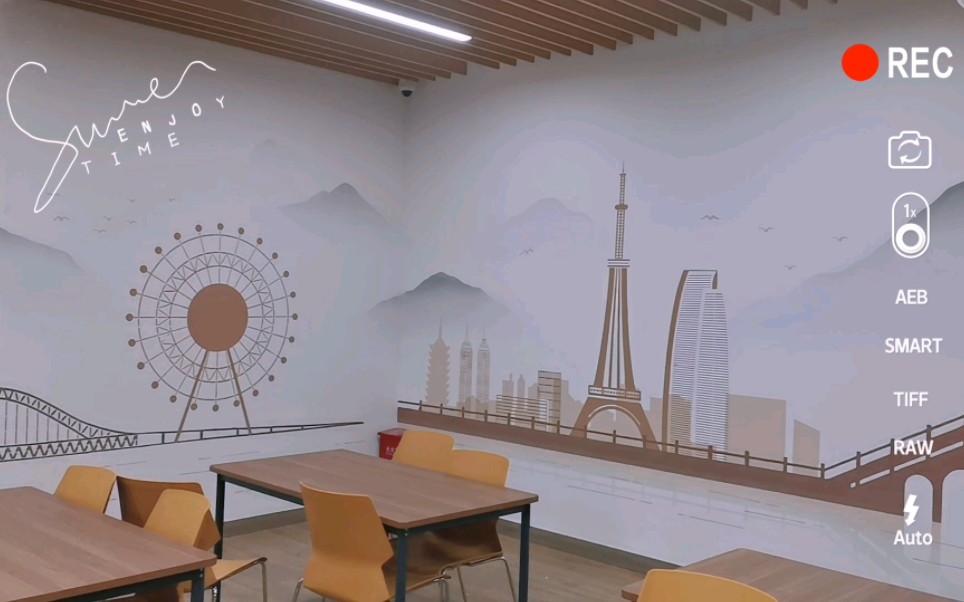 苏州室内墙绘,苏州墙体彩绘,苏州墙绘艺术.