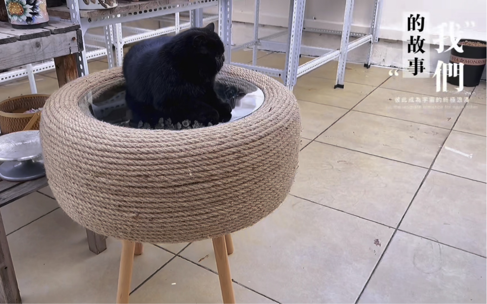 来交作业了!把旧轮胎diy成茶几,默默的把自己佩服了一番