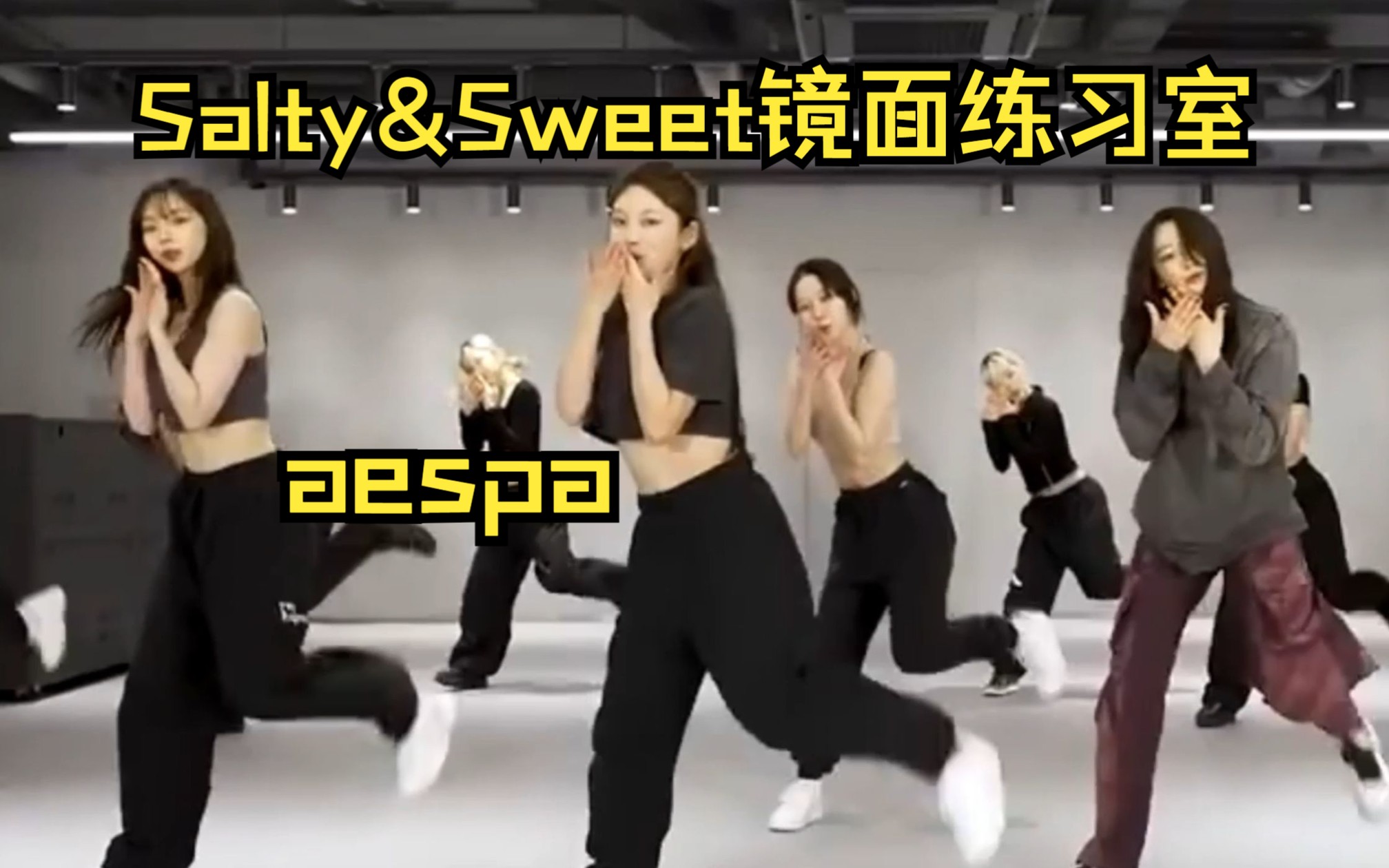 [图]【aespa】Salty&Sweet镜面放大练习室 中韩字幕