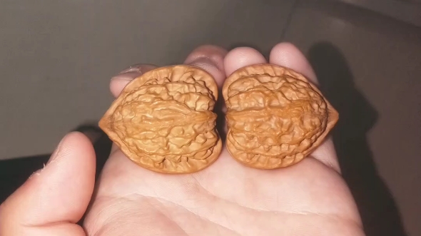 小众文玩核桃,金牛,卡37肚34高40,全品,有喜欢的主页简介加v,私有时看